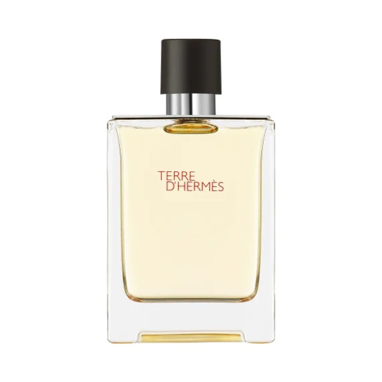 254 - Hermes - Terre D'hermes.jpg
